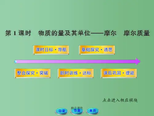 高中化学 1.3.1物质的量及其单位——摩尔 摩尔质量 鲁科版必修1