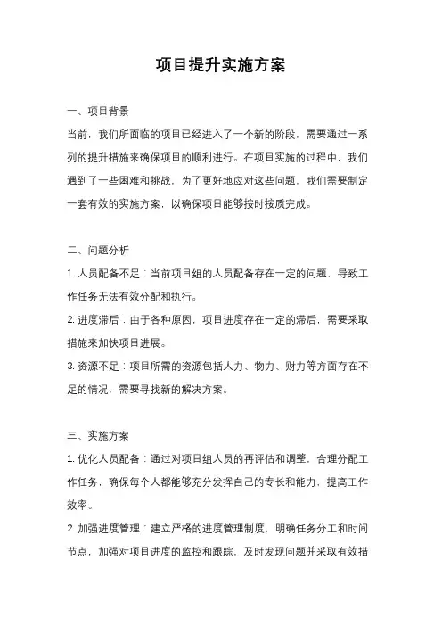 项目提升实施方案