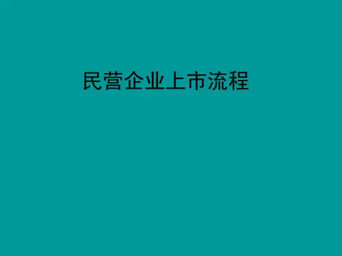公司上市流程(全)