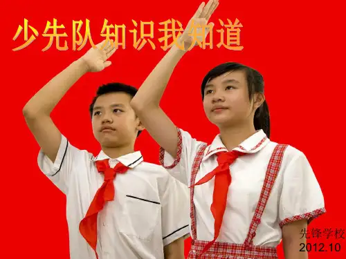 少先队知识我知道