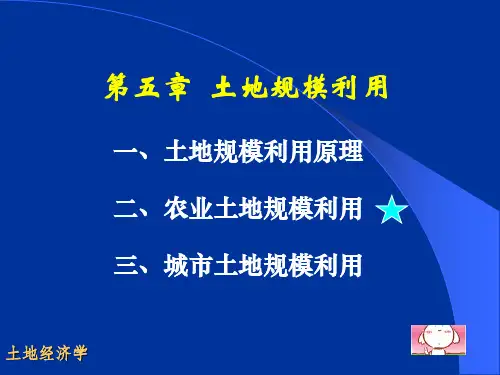 土地利用规模
