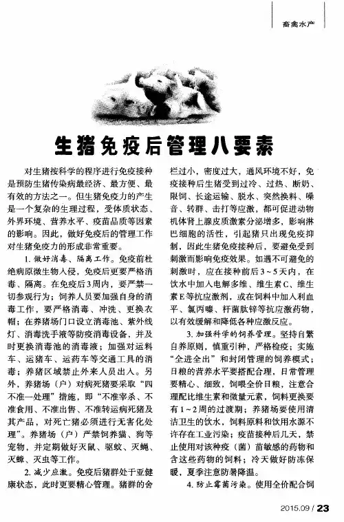 生猪免疫后管理八要素