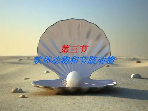 第三节软体动物和节肢动物