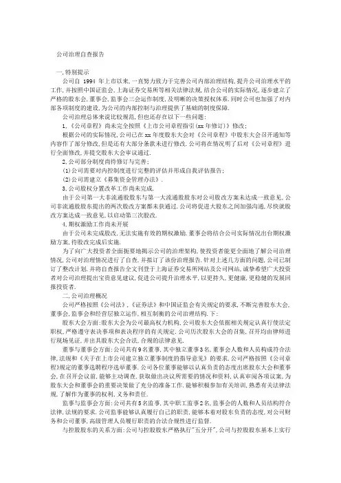 公司治理自查报告