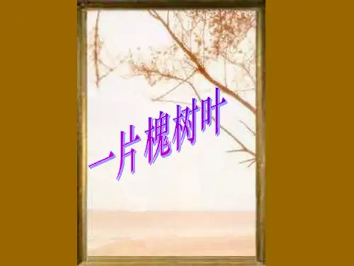 一片槐树叶PPT课件