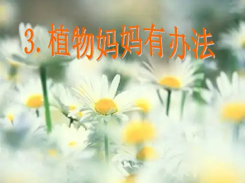 部编人教版二年级语文3《植物妈妈有办法》