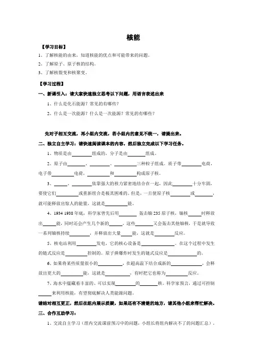 苏科版-物理-九年级下册-学案118.2核能