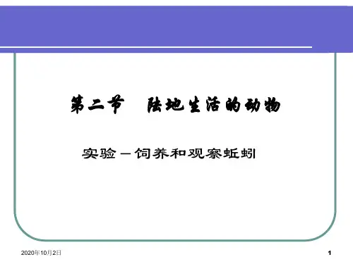 实验 饲养和观察蚯蚓PPT课件