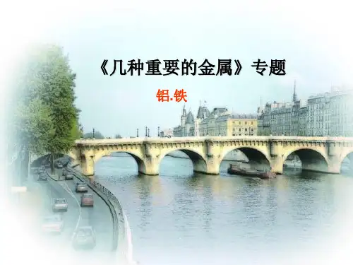 几种重要的金属PPT课件 人教课标版
