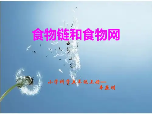 《食物链和食物网》PPT课件