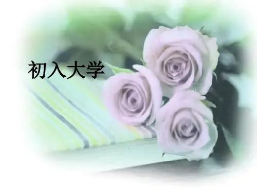 大学新生适应(心理健康教育