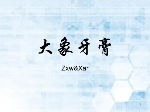 大象牙膏PPT课件
