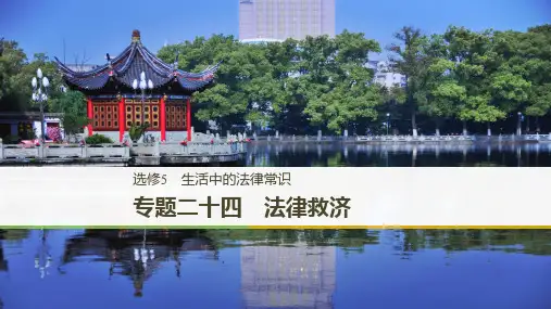 2019高考政治选考新增分二轮课件选修5 生活中的法律常识 专题二十四法律救济课件