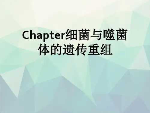 Chapter细菌与噬菌体的遗传重组
