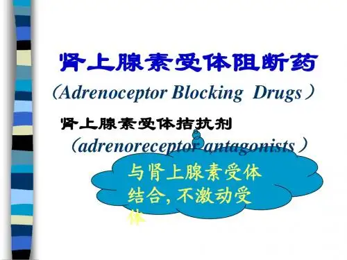 11肾上腺素受体阻断药