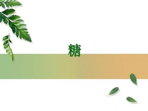 生物化学之糖