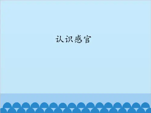 一年级上册科学课件-4.认识感官｜苏教版 (共13张PPT)