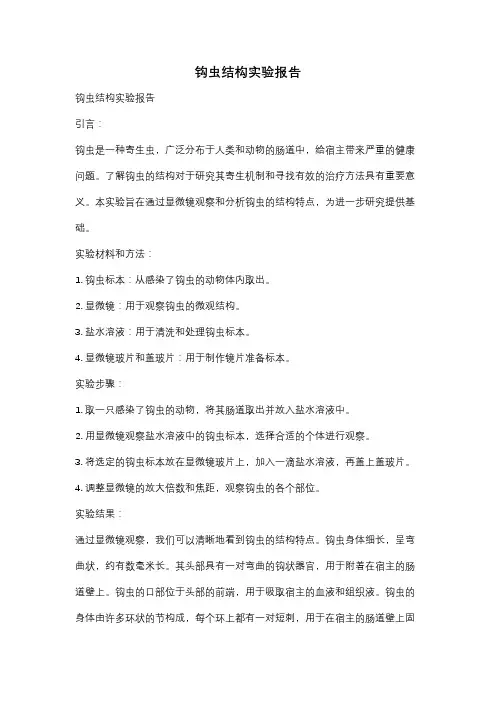钩虫结构实验报告