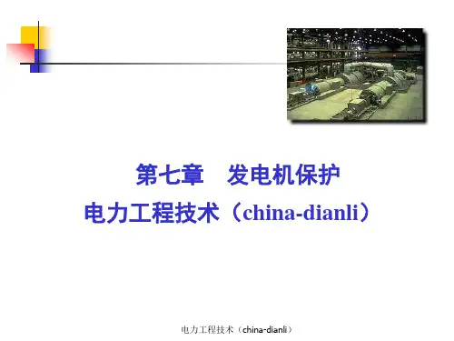 发电机保护