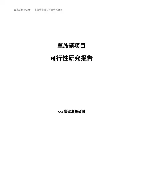 草胺磷项目可行性研究报告