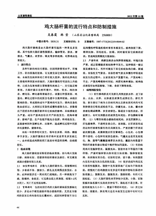 鸡大肠杆菌的流行特点和防制措施