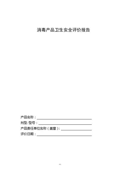 消毒产品卫生安全评价报告(新)