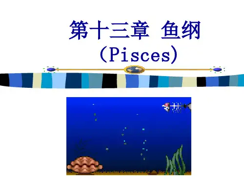 鱼纲