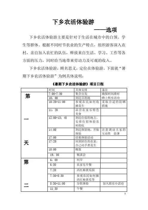 旅游创意与策划—下乡农活体验游