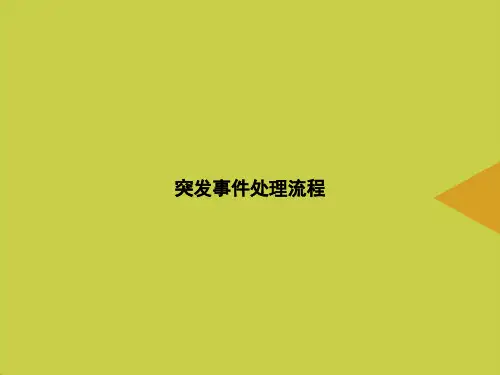 【优选】突发事件处理流程PPT资料