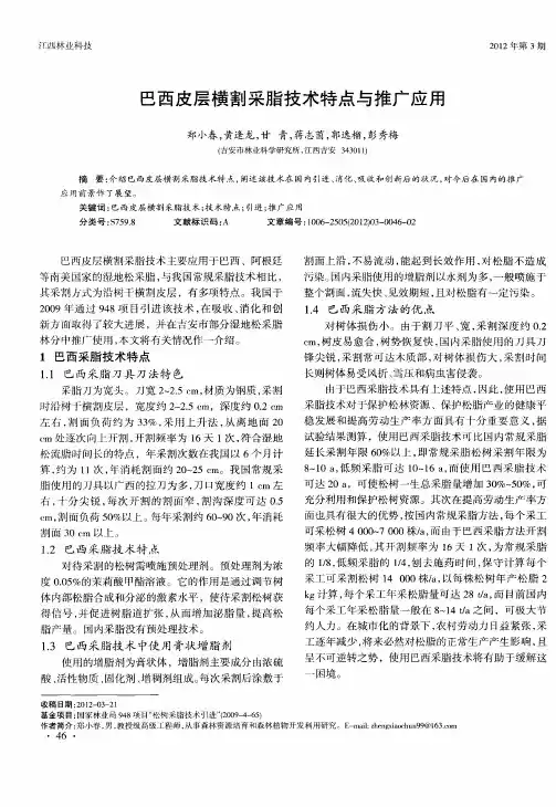 巴西皮层横割采脂技术特点与推广应用