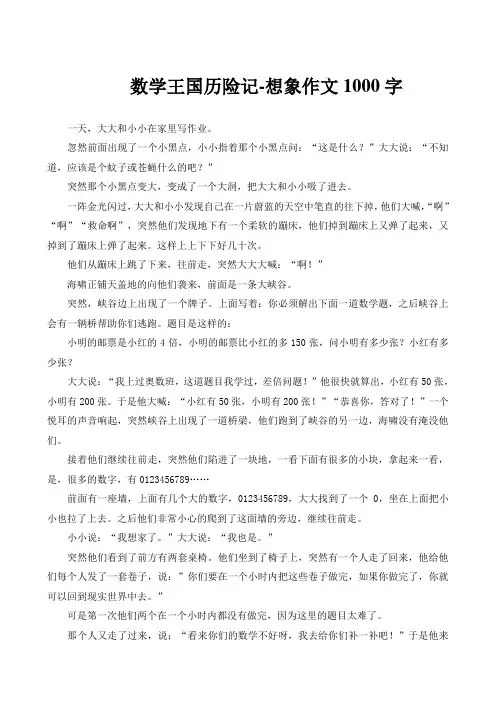 数学王国历险记-想象作文1000字