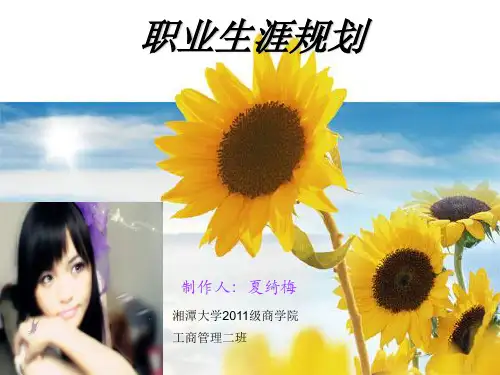 职业