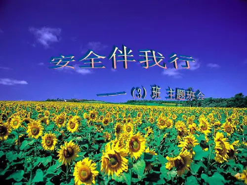 一年级《安全伴我行》主题班会PPT