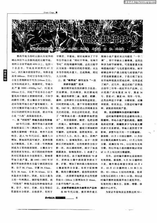 豫西旱地小麦“六改”高效栽培技术