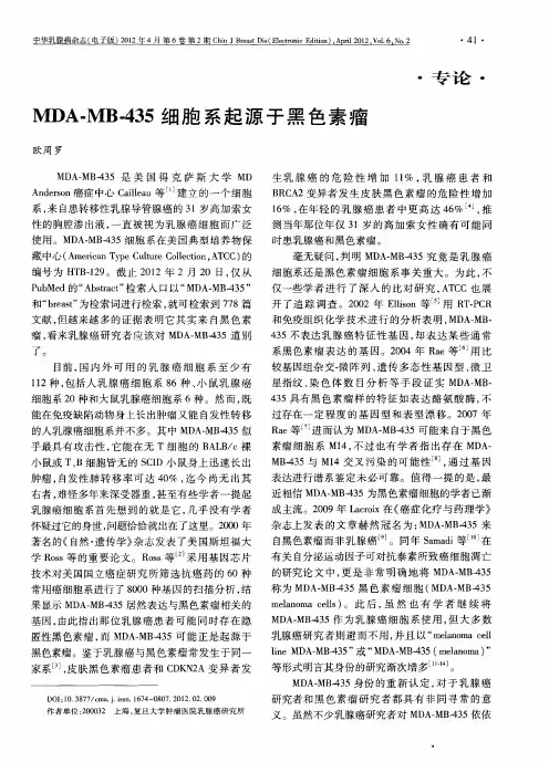 MDA—MB-435细胞系起源于黑色素瘤
