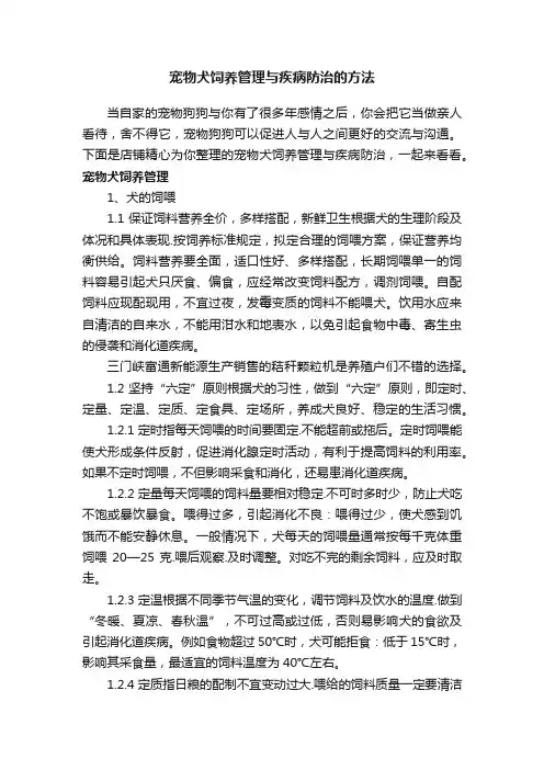 宠物犬饲养管理与疾病防治的方法