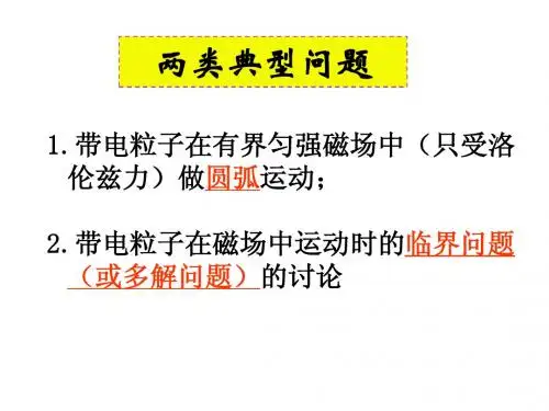 专题:带电粒子在有界磁场中的运动(多个小专题)0