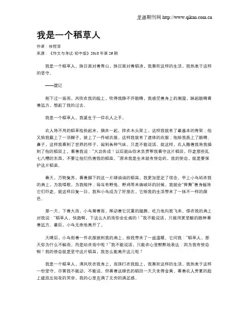 我是一个稻草人