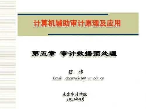第5章_审计数据预处理