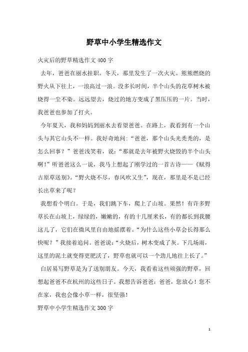 野草中小学生精选作文