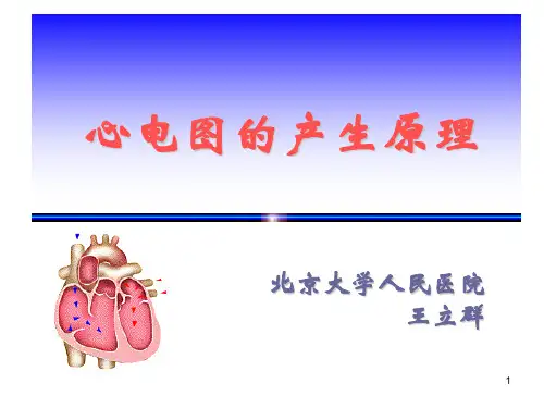 心电图的产生原理(一)