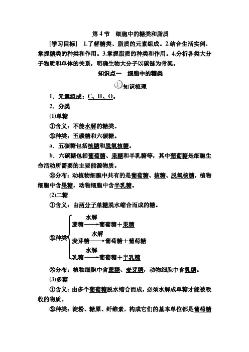 糖类和脂质