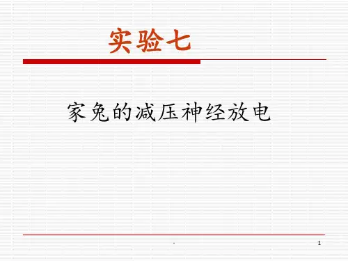 家兔的减压神经放电