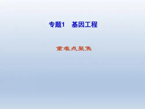 【人教版】2012高考生物《名师精点》一轮复习课件专题1基因工程