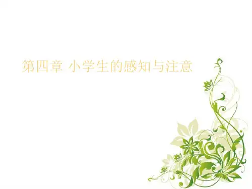 第四章小学生的感知与注意