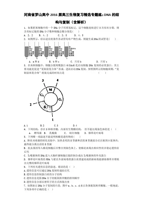 河南省罗山高中2016届高三生物复习精选专题练DNA的结构与复制(含解析)