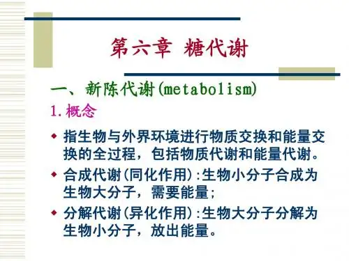 第六章 糖代谢