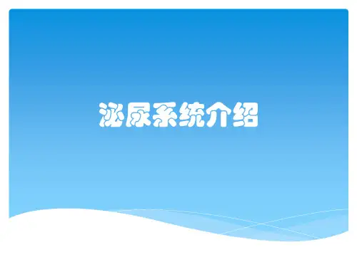 泌尿系统介绍