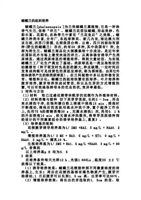 蝴蝶兰的组织培养