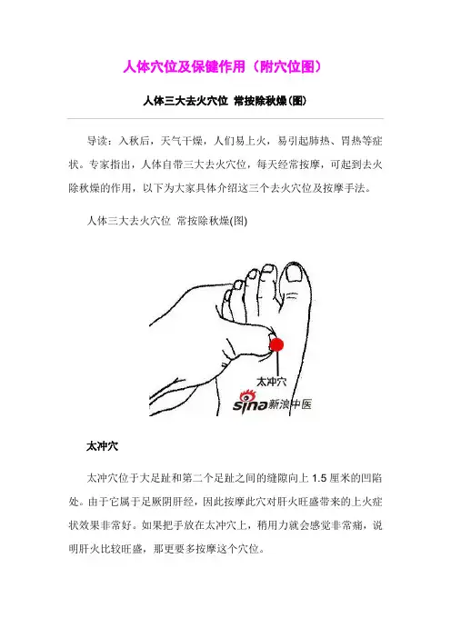 人体主要穴位及保健作用(附各穴位位置图) 2